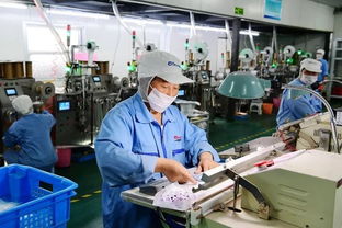 江蘇歐凱把握市場脈搏，深耕短保食品企業咨詢新藍海